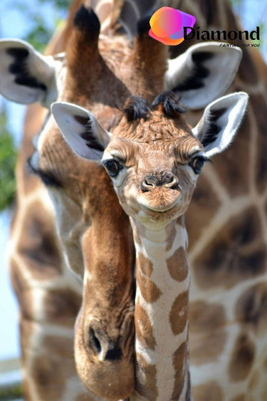 Giraffe Diamond Painting for you